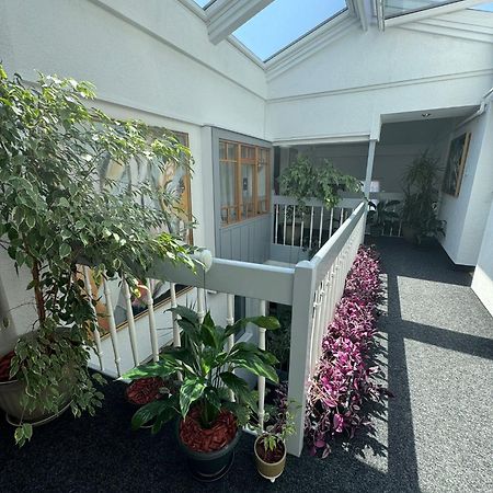 Villa Helvetia Târgu-Mureş Exteriér fotografie