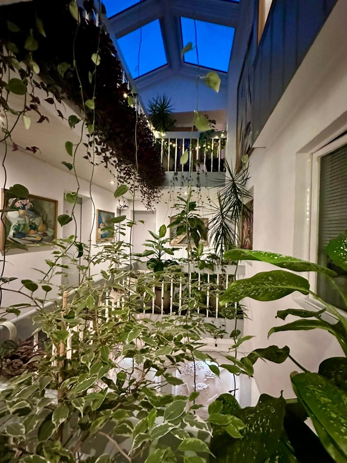 Villa Helvetia Târgu-Mureş Exteriér fotografie