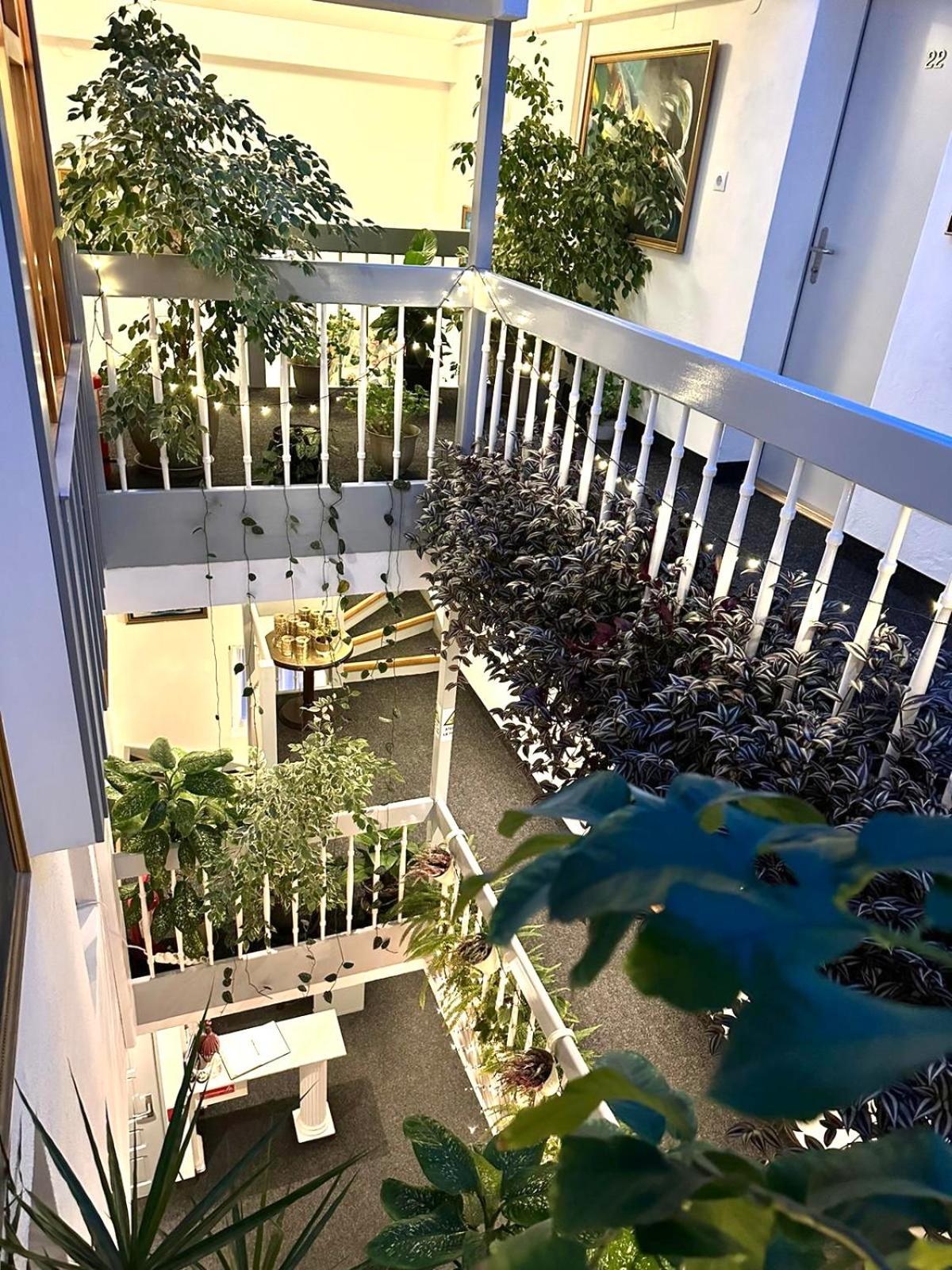 Villa Helvetia Târgu-Mureş Exteriér fotografie