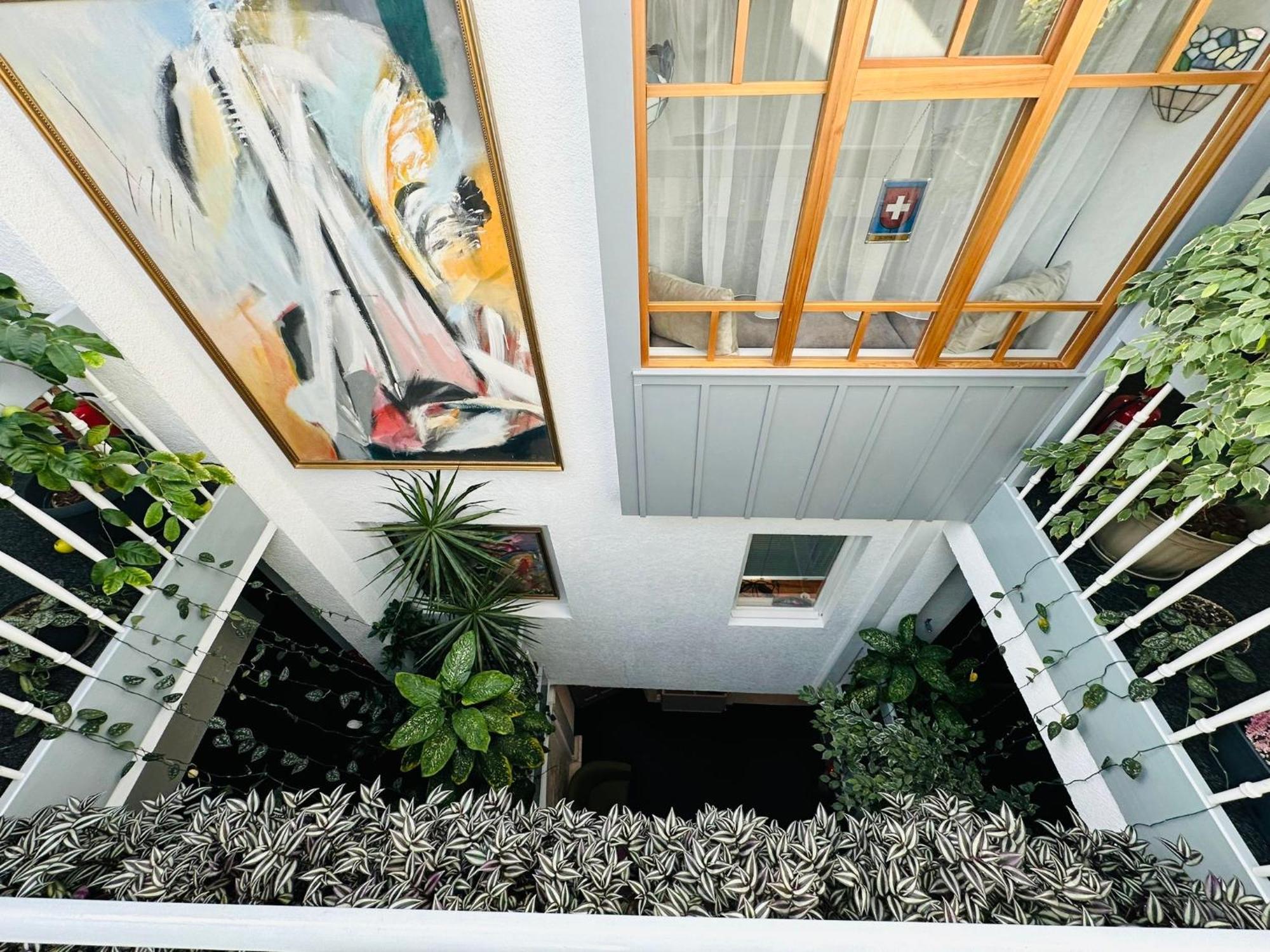 Villa Helvetia Târgu-Mureş Exteriér fotografie