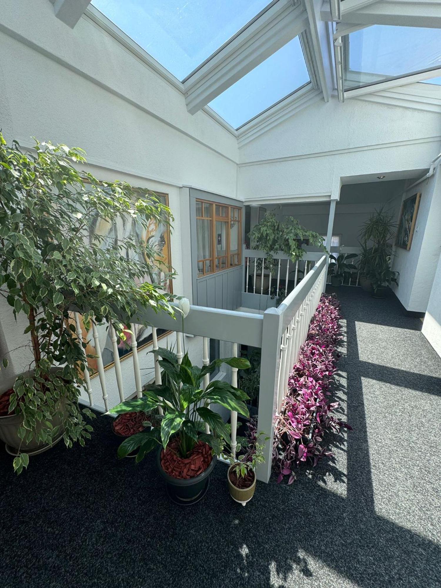 Villa Helvetia Târgu-Mureş Exteriér fotografie