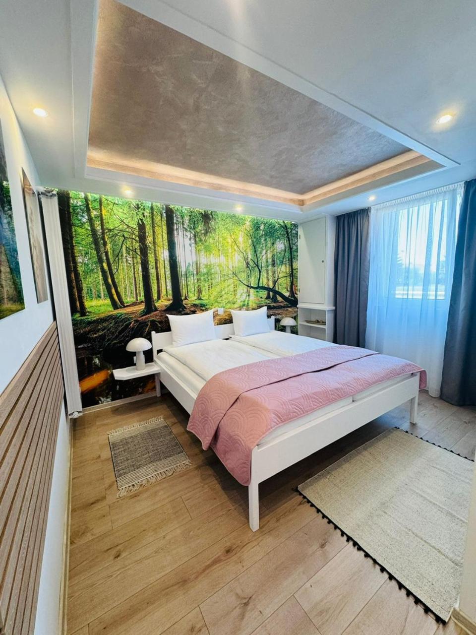 Villa Helvetia Târgu-Mureş Exteriér fotografie