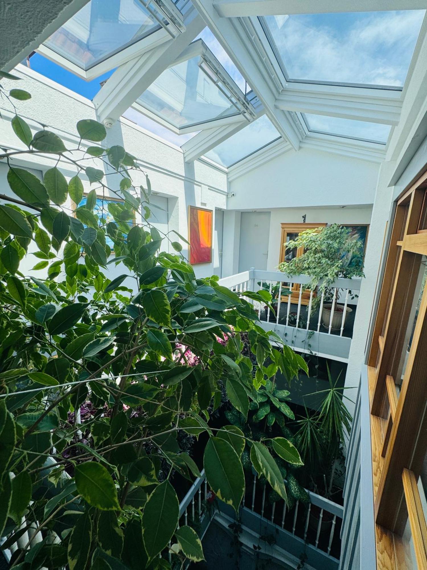 Villa Helvetia Târgu-Mureş Exteriér fotografie