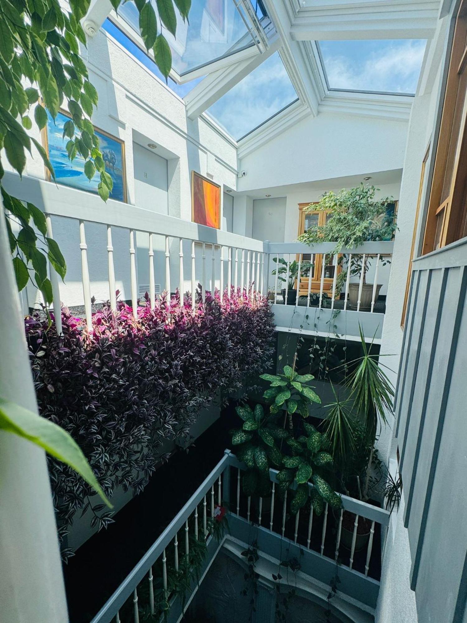 Villa Helvetia Târgu-Mureş Exteriér fotografie