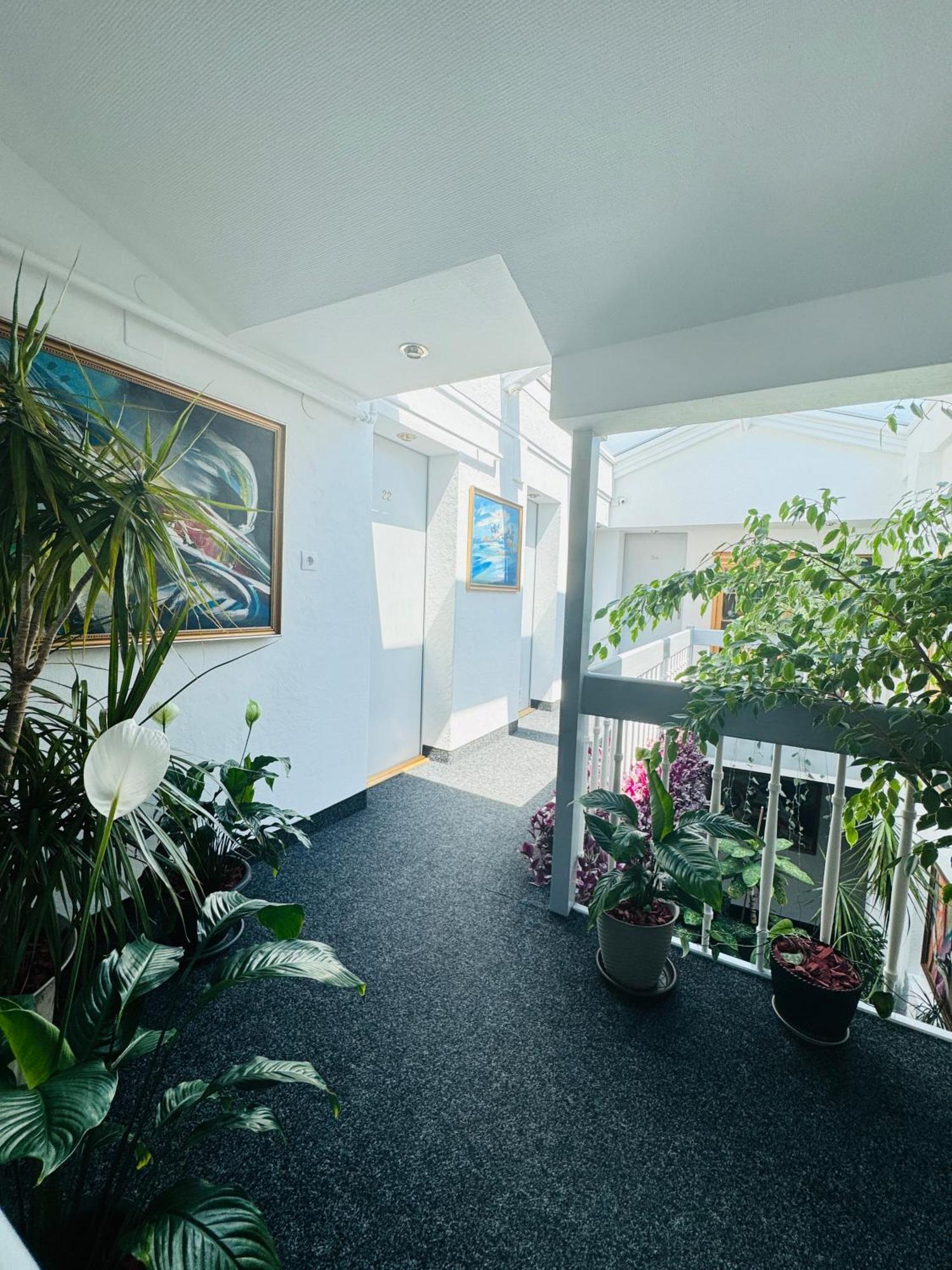 Villa Helvetia Târgu-Mureş Exteriér fotografie
